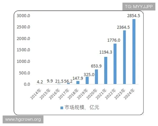 大数据视角下中国女足未来发展趋势与潜力分析深度研究